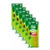 Kit 6 Caixas Lápis De Cor 12 Cores Leo & Leo Eco Sextavado